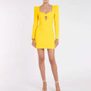 Jaclyn Long Sleeve Mini Dress